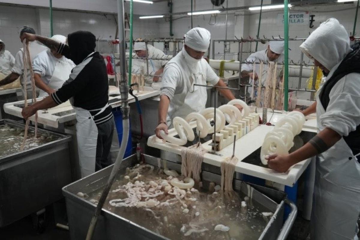 Sin respuestas de la patronal, trabajadores del frigorífico Euro reactivan tareas para sostener la planta