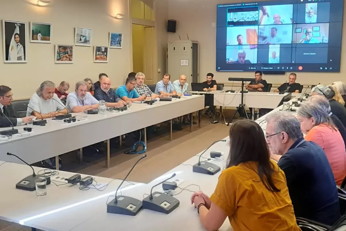 Docentes universitarios rechazaron el aumento del 2% impuesto por el Gobierno y alertan por el futuro de la universidad pública