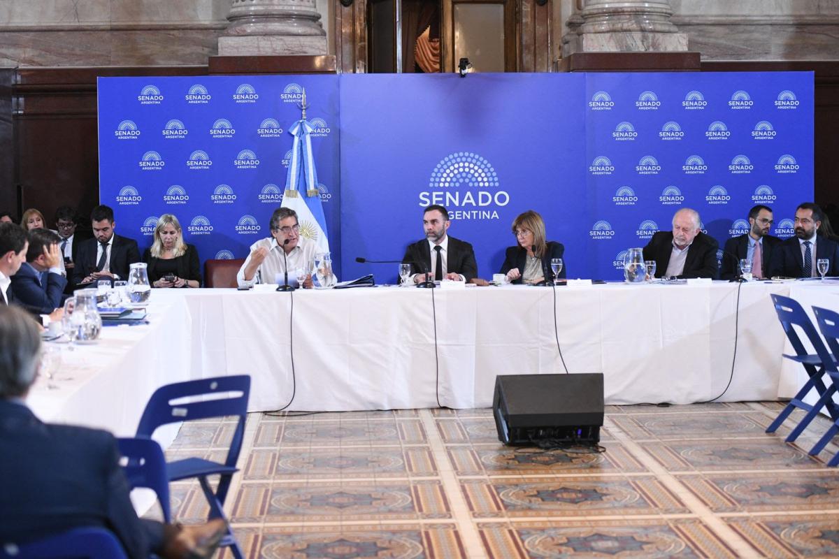 Godoy cuestionó la reforma laboral en el Senado y advirtió que “flexibilizar no crea empleo ni formalidad”