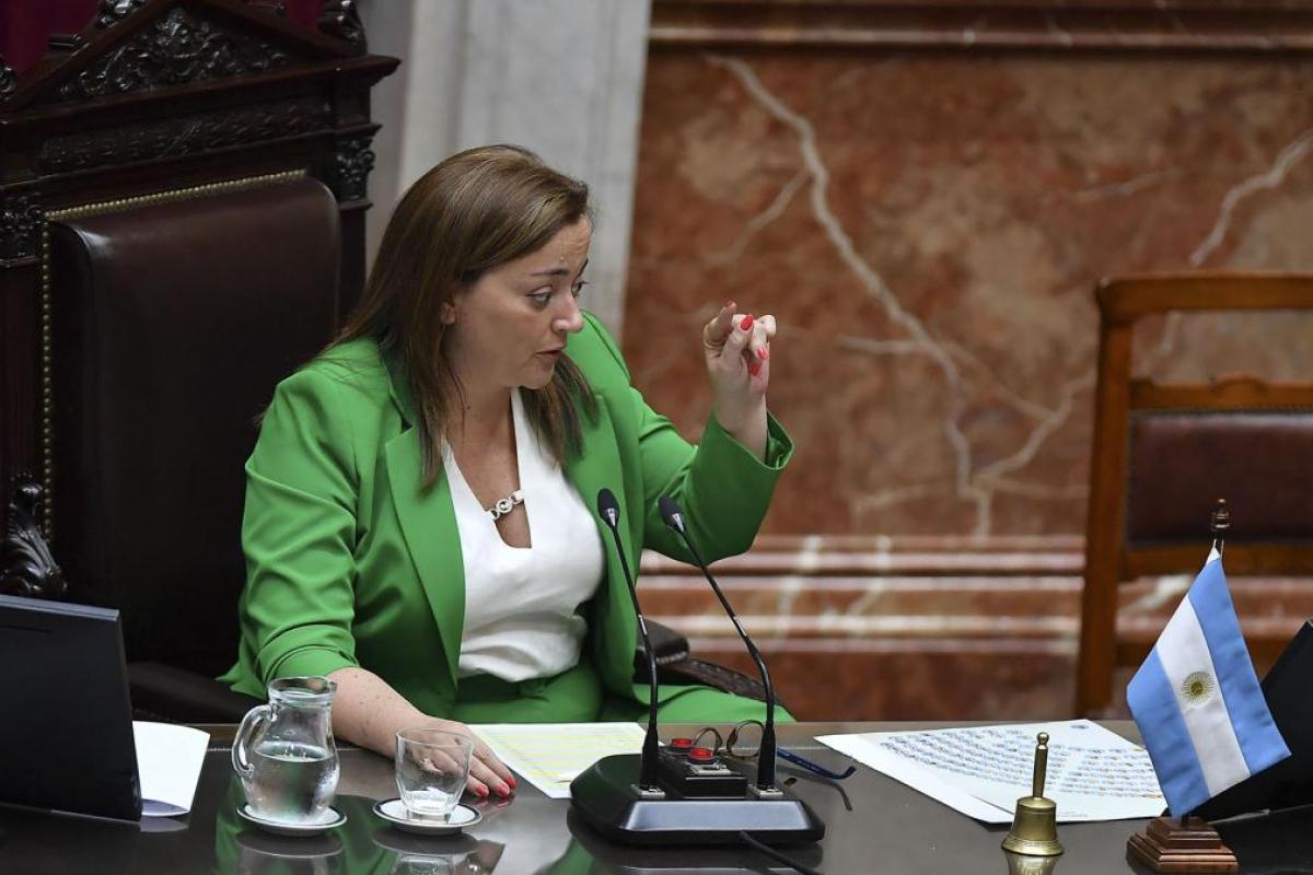 Diputados repudiaron el vaciamiento del Programa Nacional de Cardiopatías Congénitas y los despidos de su equipo médico