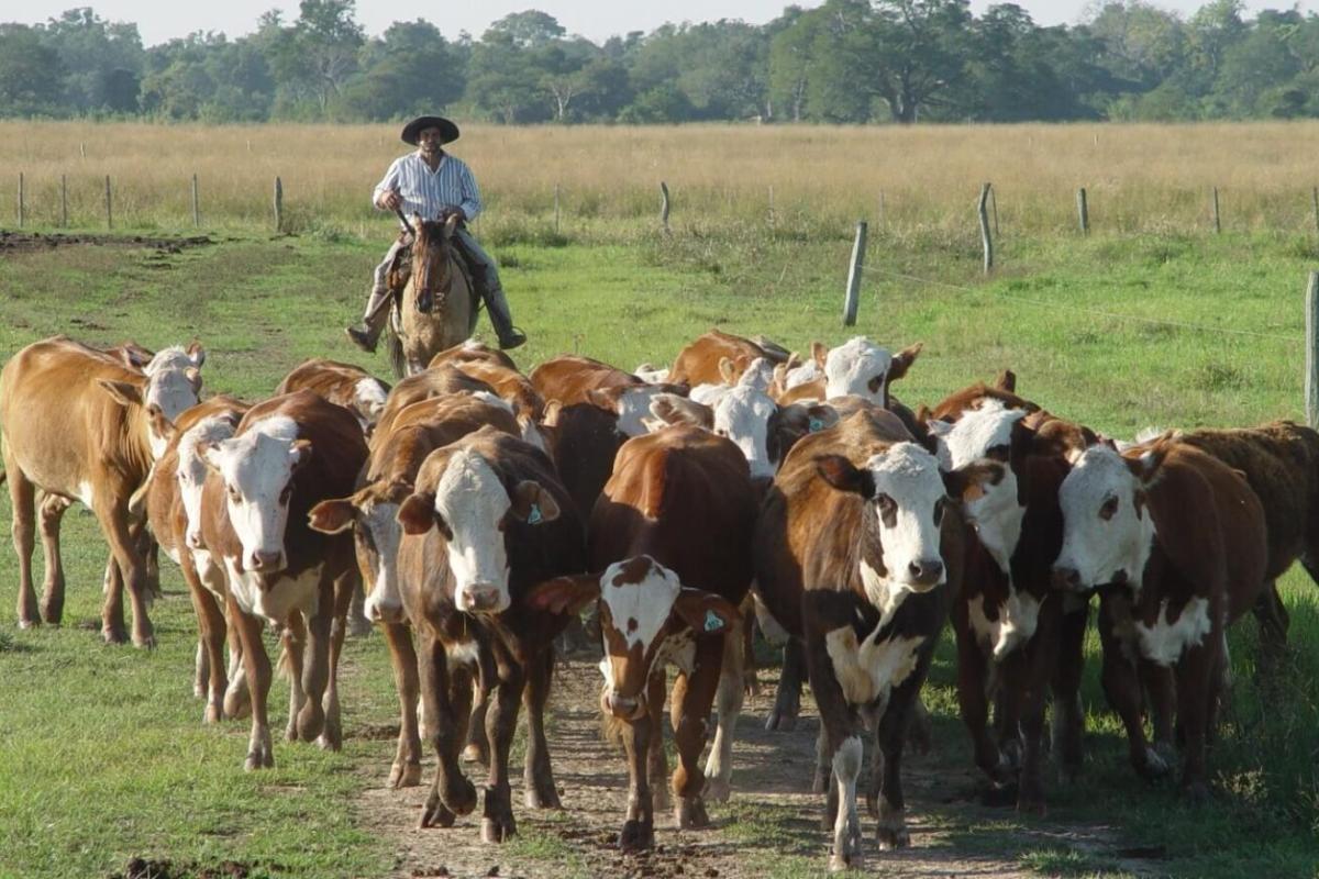 El oficialismo impulsa una nueva ley de trabajo agrario y propone flexibilizar condiciones laborales por región