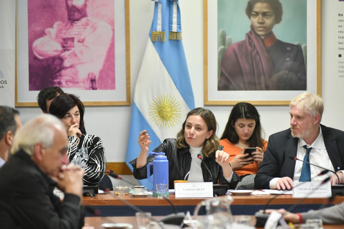 Vanesa Siley: “No es culpa de los derechos laborales que no haya trabajo, sino del modelo económico”