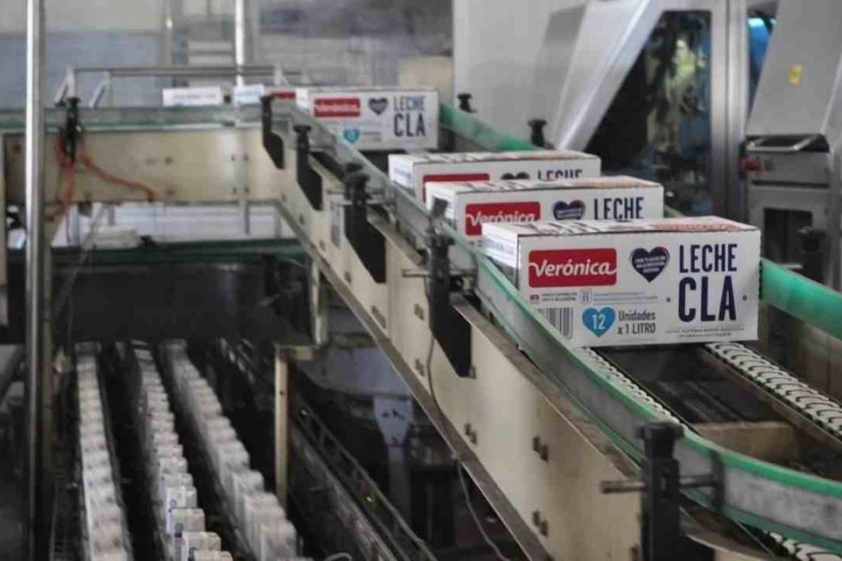 Lácteos Verónica al borde del colapso: más de 500 empleos en riesgo y salarios adeudados