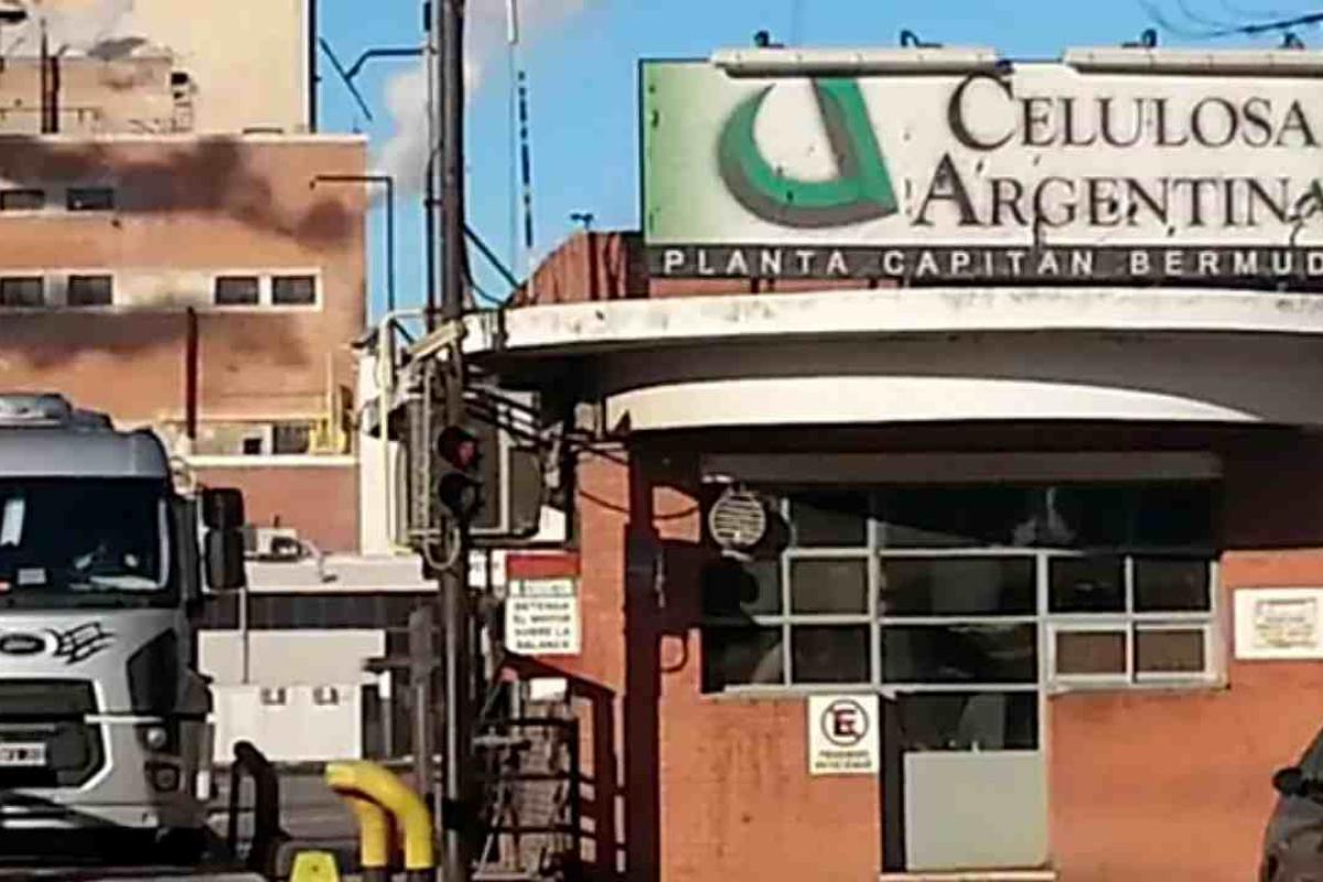 Celulosa Argentina entró en Concurso de Acreedores tras pérdidas millonarias y la paralización de sus plantas