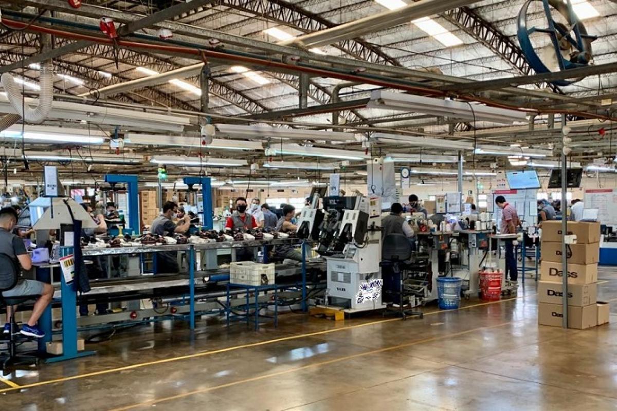 Dass en crisis: derrumbe de ventas, despidos masivos y un horizonte incierto para el calzado en Eldorado
