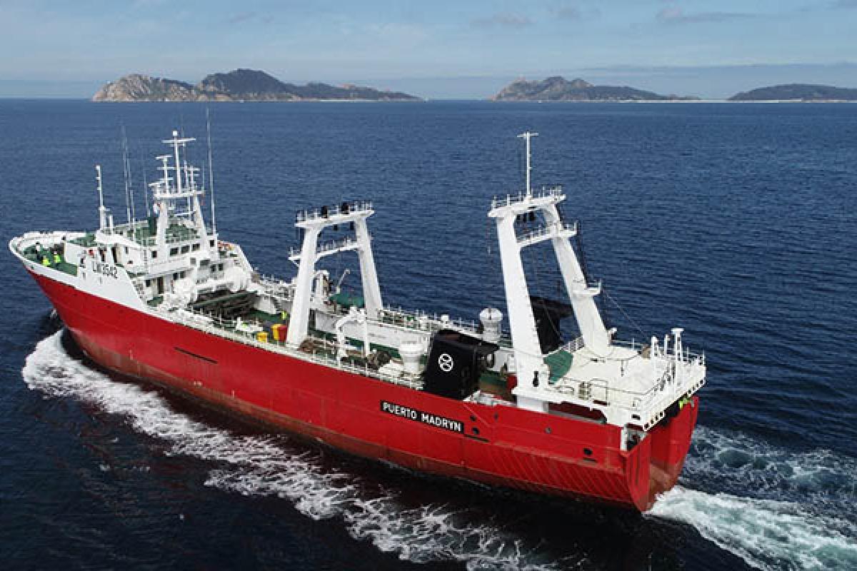 Conflicto pesquero en Mar del Plata: empresarios denuncian al SICONARA por asambleas que frenan la actividad