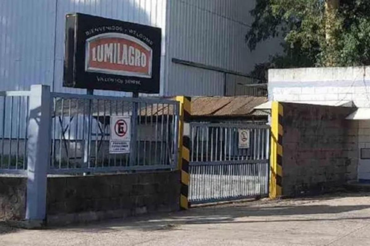 Crisis industrial: Lumilagro despidió 170 trabajadores, apagó sus hornos y comenzó a importar desde Asia