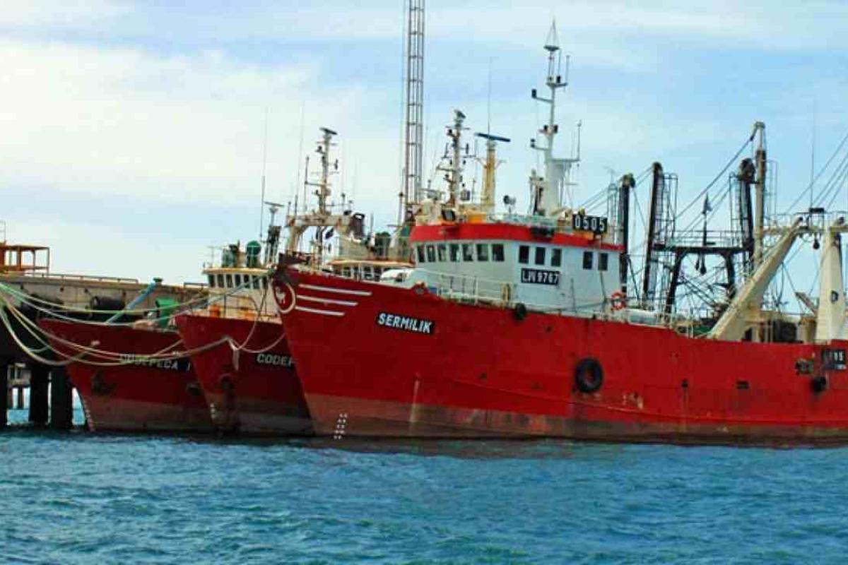 Crisis en el sector pesquero de Puerto Madryn: salarios impagos, precarización laboral y un futuro incierto