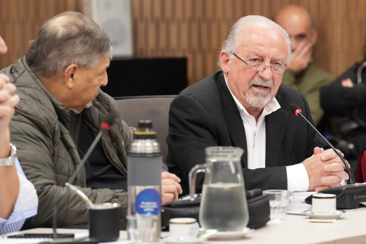 Reforma Sindical: Diputados Gremiales Desmienten Proyectos y Alertan sobre Posible Desfinanciamiento