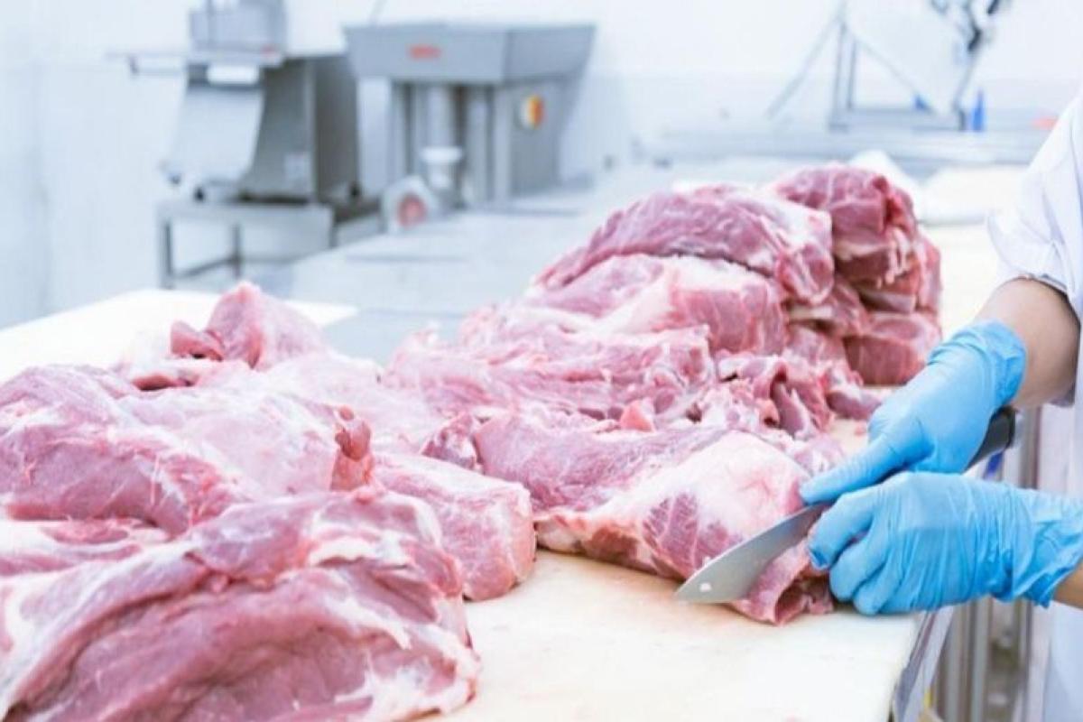 Crisis en el Frigorífico San Telmo: 50 despidos y sueldos congelados por la caída de la producción