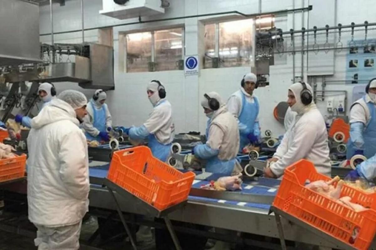 Granja Tres Arroyos profundiza su crisis: retrocede la producción, pierde proveedores y acumula millonarios incumplimientos