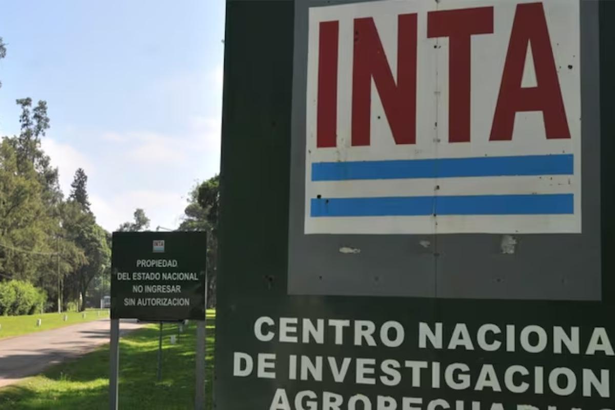 Sebastián Fajardo, delegado del INTA, alertó por el vaciamiento del organismo y el riesgo para la producción hortícola del AMBA