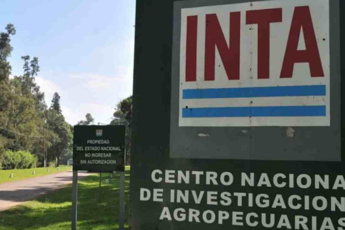 Un juez de Chubut aceptó un amparo indígena contra el decreto que disuelve el INTA