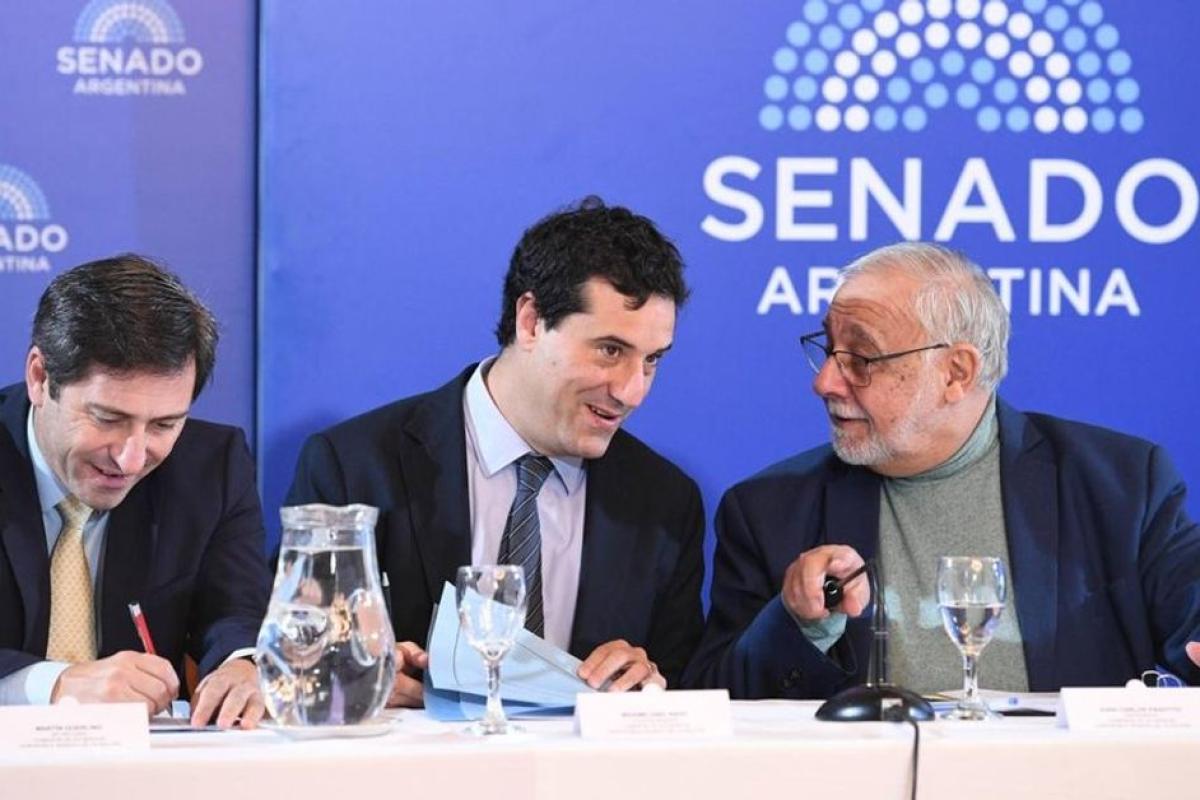 Pesino enfrenta cuestionamientos en el Senado durante la audiencia por su continuidad en la Cámara del Trabajo