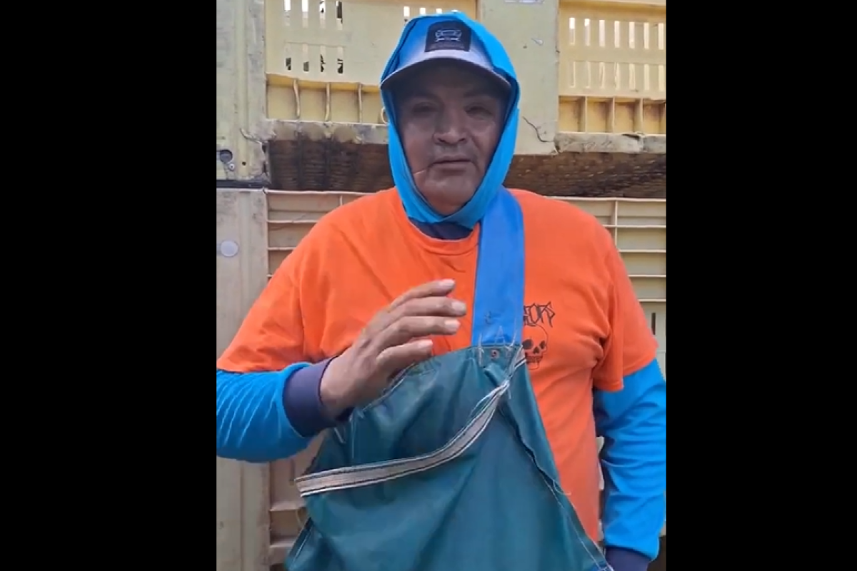“Son unos sinvergüenzas”: el descargo viral de un cosechero tucumano que expone la crisis en el trabajo rural