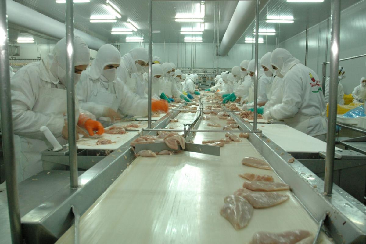 Granja Tres Arroyos, el mayor frigorífico avícola del país, al borde del cierre por la importación de pollo brasileño: 450 puestos de trabajo en riesgo