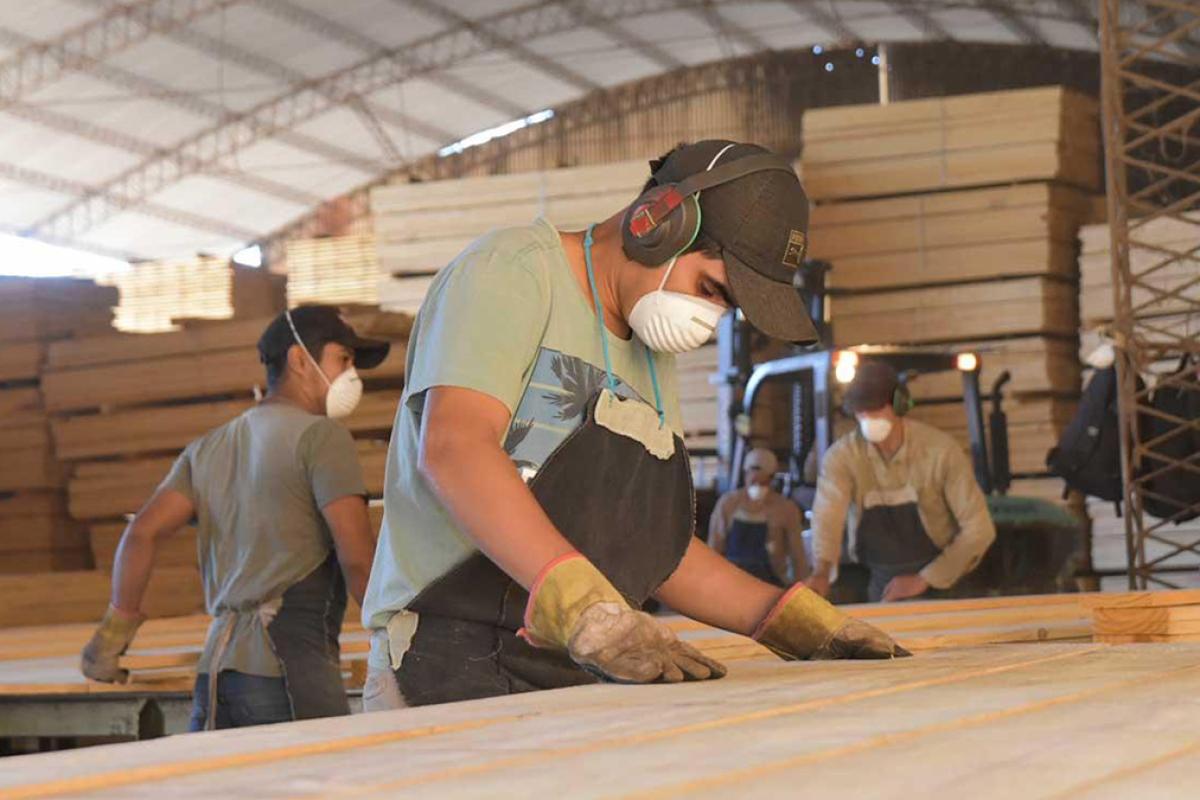 La crisis de la madera deja una pérdida difícil de recuperar: el empleo registrado cayó 8,57% y golpea a los oficios especializados