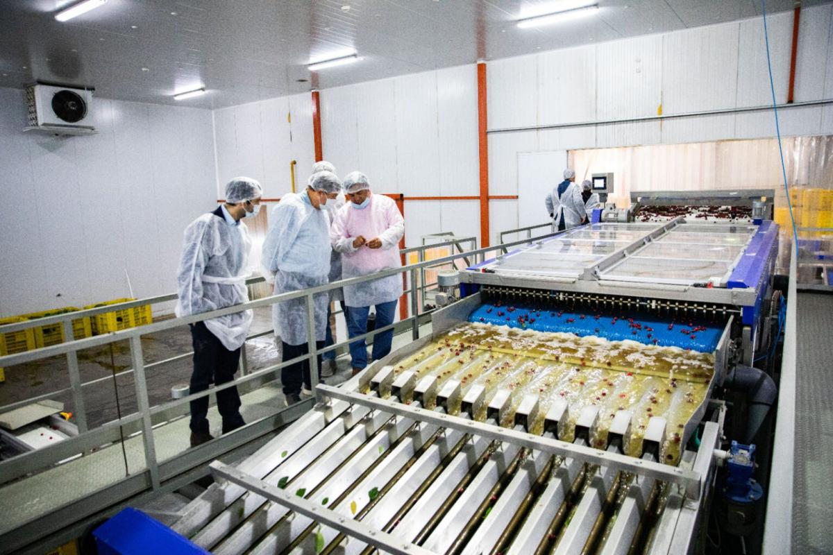 La industria perdió más de 66.000 empleos registrados en dos años y solo tres provincias lograron crecer