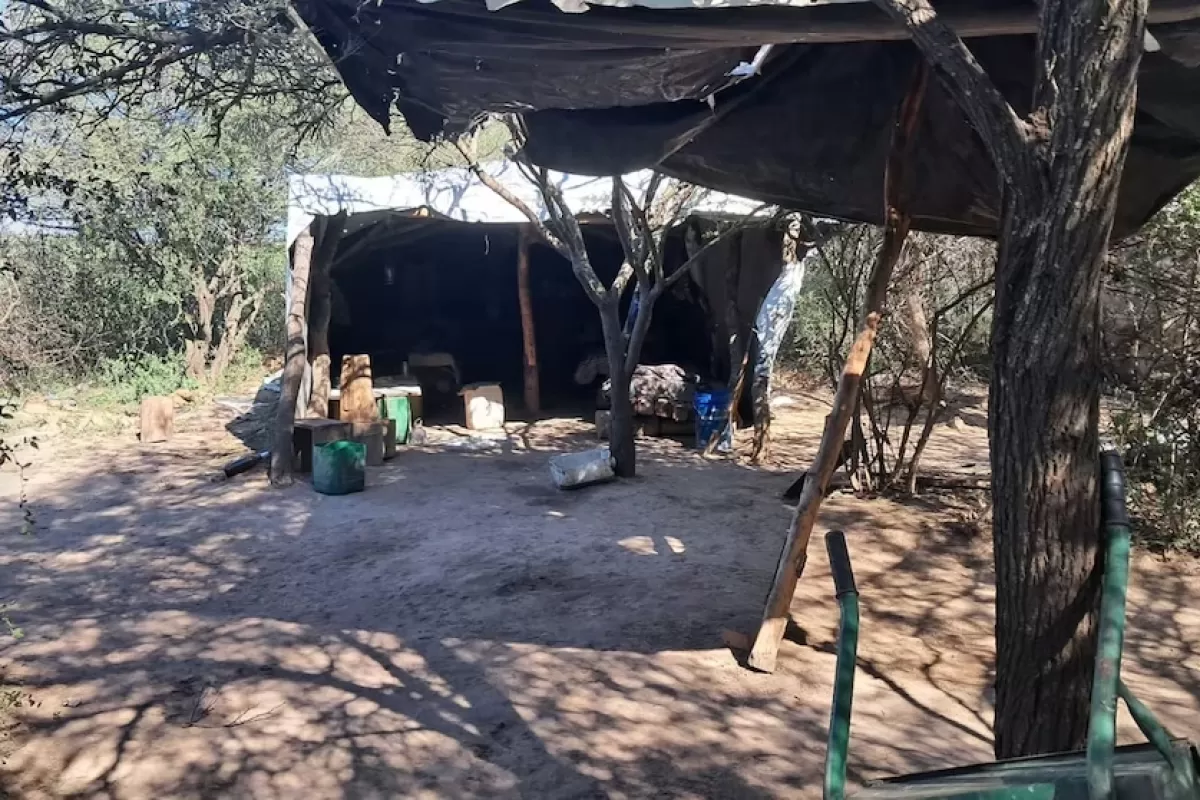 Detectan trabajo esclavo en carboneras de Santiago del Estero: entre los explotados había menores