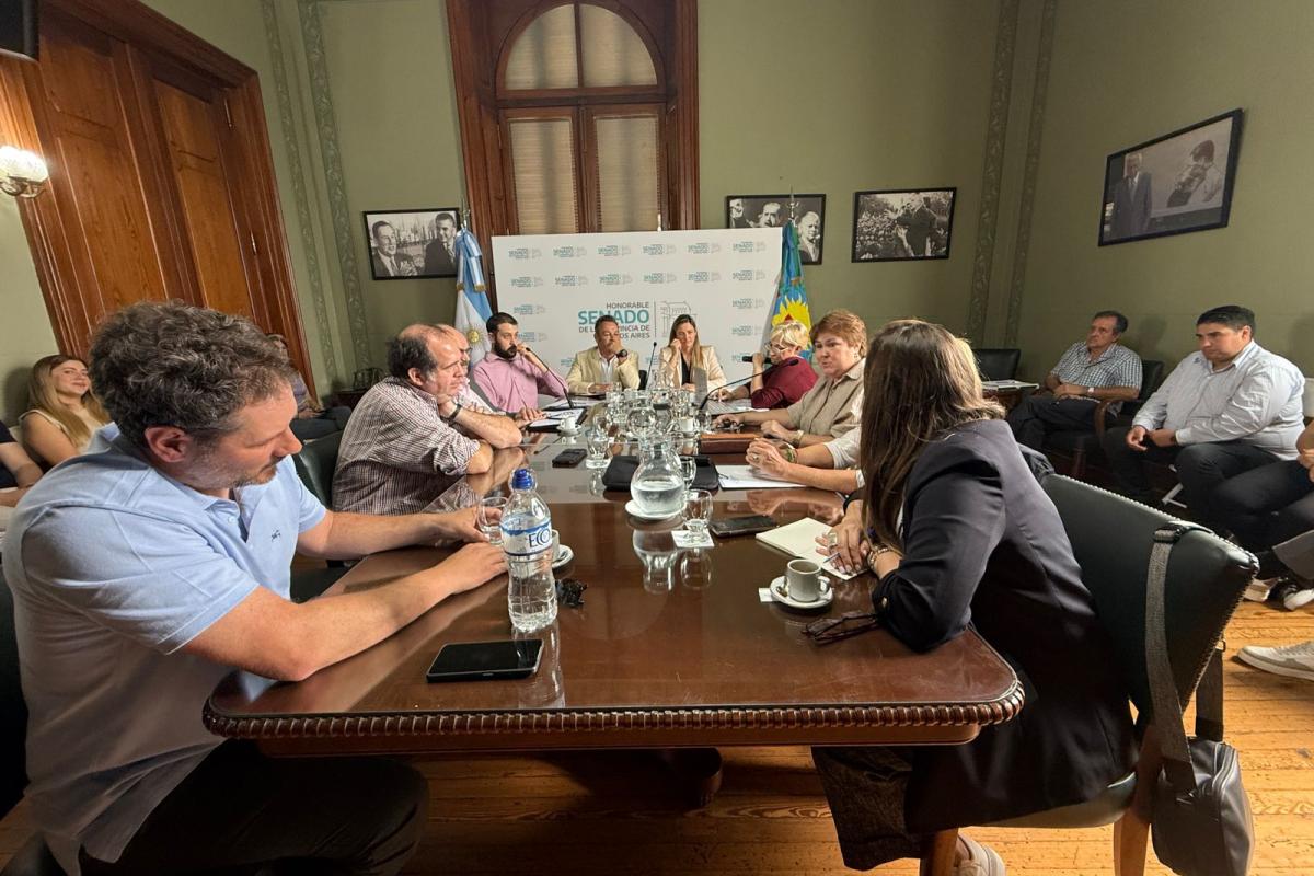 Productores de Carlos Casares se reunieron con legisladores por las inundaciones: “Tuvimos que hacer una denuncia penal”