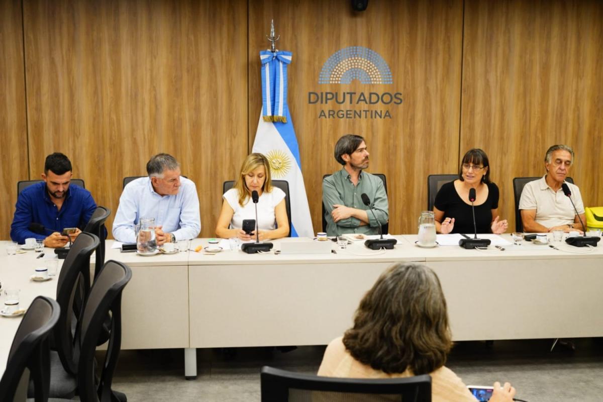 CONICET: diputados impulsan una ley para evitar que 379 investigadores queden sin trabajo