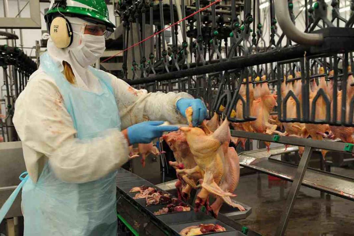 Granja Tres Arroyos suspendió a 200 trabajadores por seis meses y profundiza su crisis