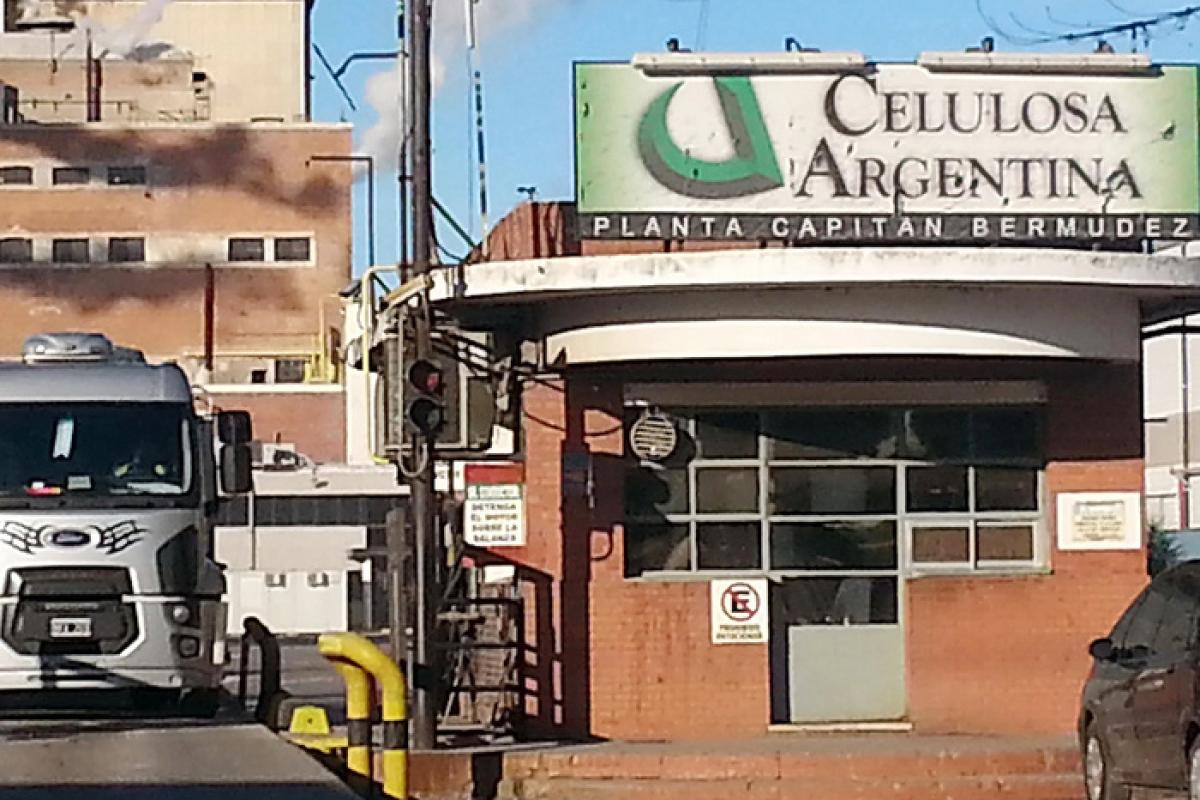Celulosa Argentina propone reestructurar deuda por 128 millones de dólares tras caer en default