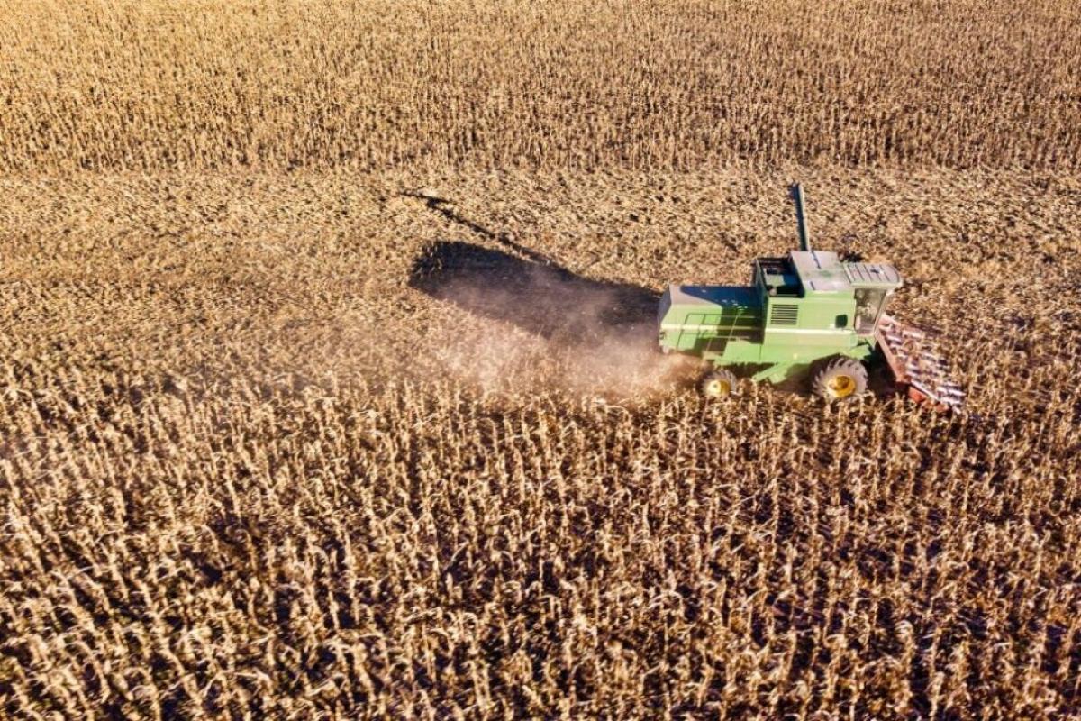 Córdoba lanzó el primer seguro multirriesgo agrícola de gran escala y marca un modelo replicable a nivel nacional