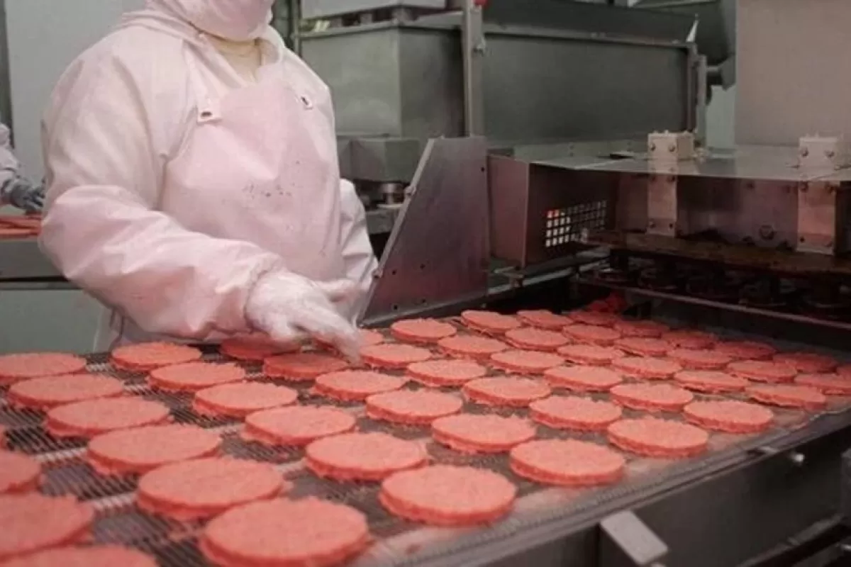 Crisis en el corazón de la industria cárnica: el frigorífico creador de Paty suspendió a 450 trabajadores