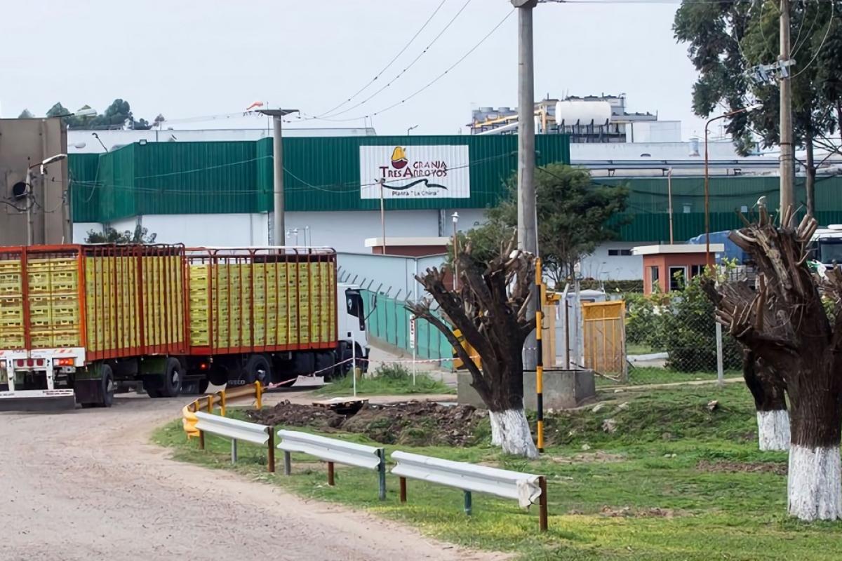 Granja Tres Arroyos recorta jornadas y salarios para evitar despidos en medio de su crisis