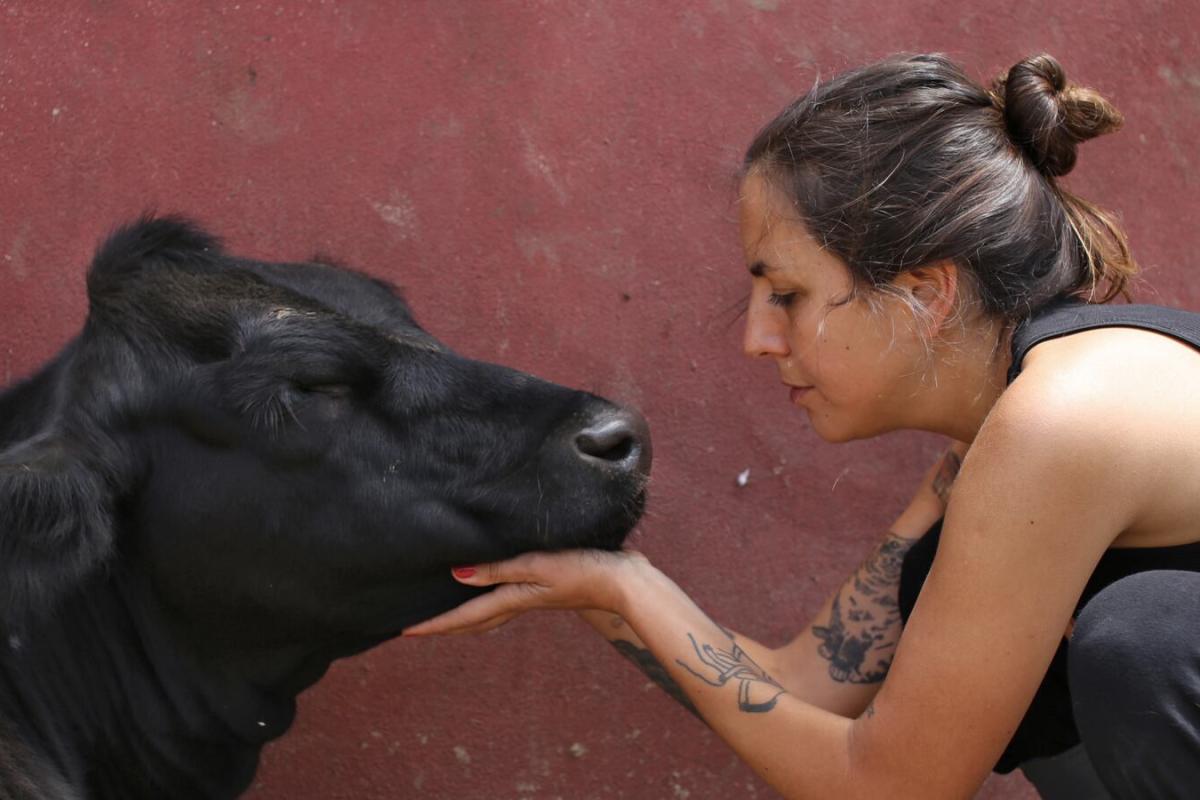Liberación animal: “Argentina es el primer exportador de carne de caballo y nadie lo sabe”