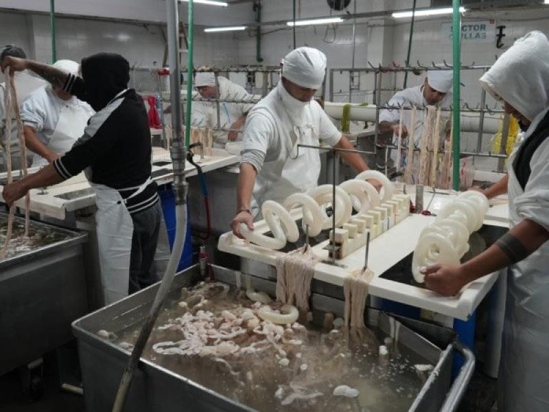 Sin respuestas de la patronal, trabajadores del frigorífico Euro reactivan tareas para sostener la planta