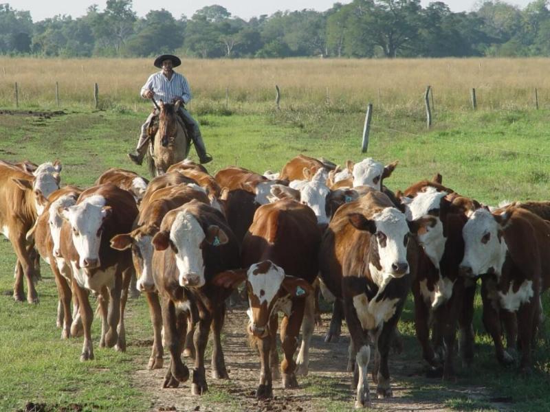 El oficialismo impulsa una nueva ley de trabajo agrario y propone flexibilizar condiciones laborales por región