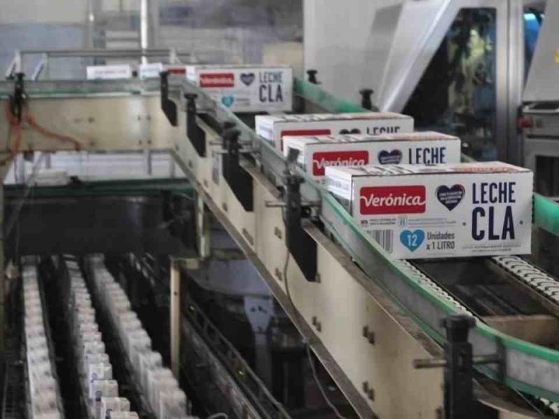 Lácteos Verónica al borde del colapso: más de 500 empleos en riesgo y salarios adeudados