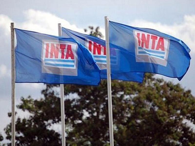 Avanza el desmantelamiento de entes públicos productivos: el INTA, INTI y otros pierden autonomía y funciones clave