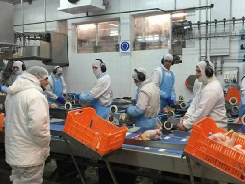 Granja Tres Arroyos profundiza su crisis: retrocede la producción, pierde proveedores y acumula millonarios incumplimientos