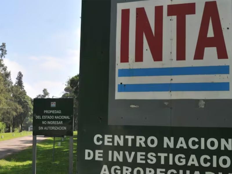 Sebastián Fajardo, delegado del INTA, alertó por el vaciamiento del organismo y el riesgo para la producción hortícola del AMBA