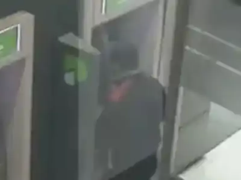 Causa Chocolate: vínculos familiares de la concejal Laura Fernández de Berisso quedan bajo la lupa