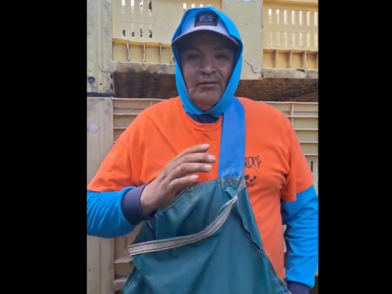 “Son unos sinvergüenzas”: el descargo viral de un cosechero tucumano que expone la crisis en el trabajo rural