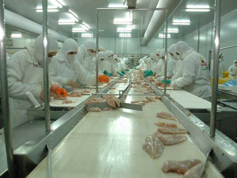 Granja Tres Arroyos, el mayor frigorífico avícola del país, al borde del cierre por la importación de pollo brasileño: 450 puestos de trabajo en riesgo
