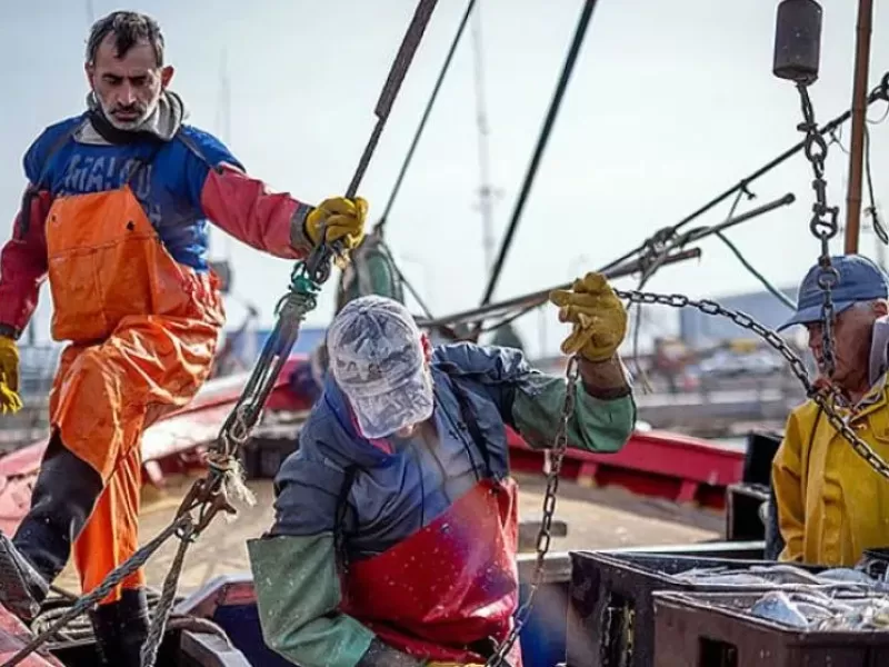 Más de 100 despidos en el sector pesquero de Mar del Plata en dos semanas: alerta desde el Frente Renovador