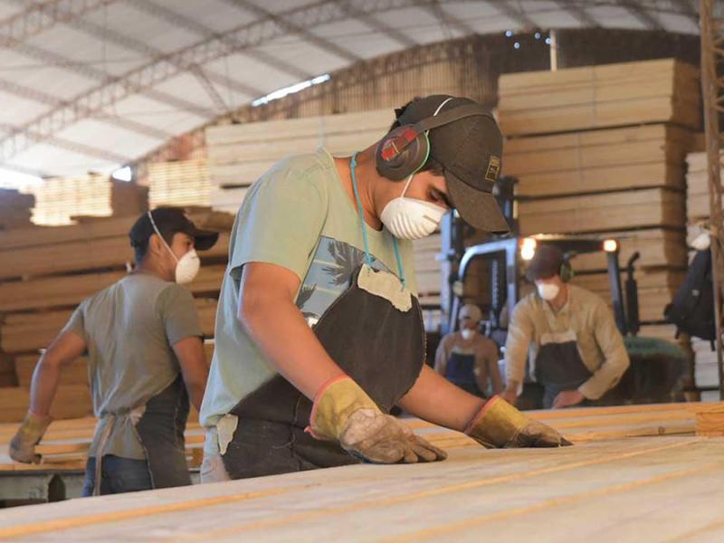 La crisis de la madera deja una pérdida difícil de recuperar: el empleo registrado cayó 8,57% y golpea a los oficios especializados