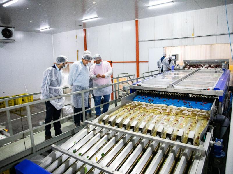 La industria perdió más de 66.000 empleos registrados en dos años y solo tres provincias lograron crecer