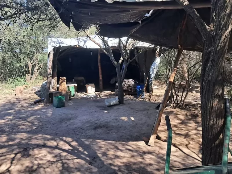 Detectan trabajo esclavo en carboneras de Santiago del Estero: entre los explotados había menores