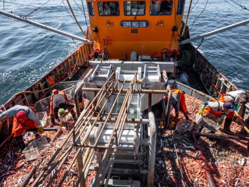 El Centro de Patrones rechaza a las pesqueras por intentar eliminar el segundo patrón: “Pone en riesgo la vida en el mar”