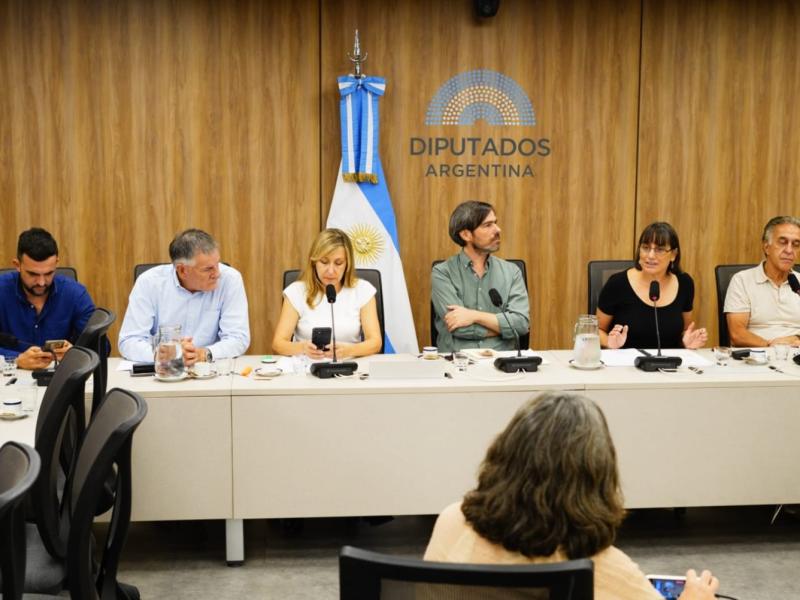 CONICET: diputados impulsan una ley para evitar que 379 investigadores queden sin trabajo
