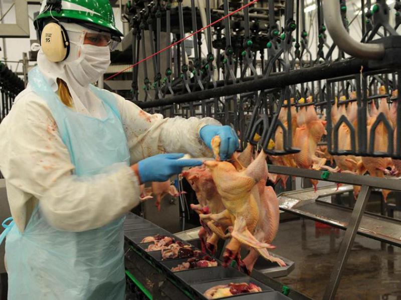 Granja Tres Arroyos suspendió a 200 trabajadores, redujo salarios y paga en cuotas en medio de una crisis prolongada