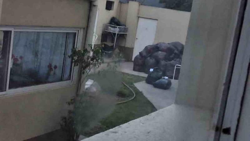 Abandono y horror en una clínica de La Plata: pacientes sin comida, oxígeno ni higiene y rodeados de hormigas