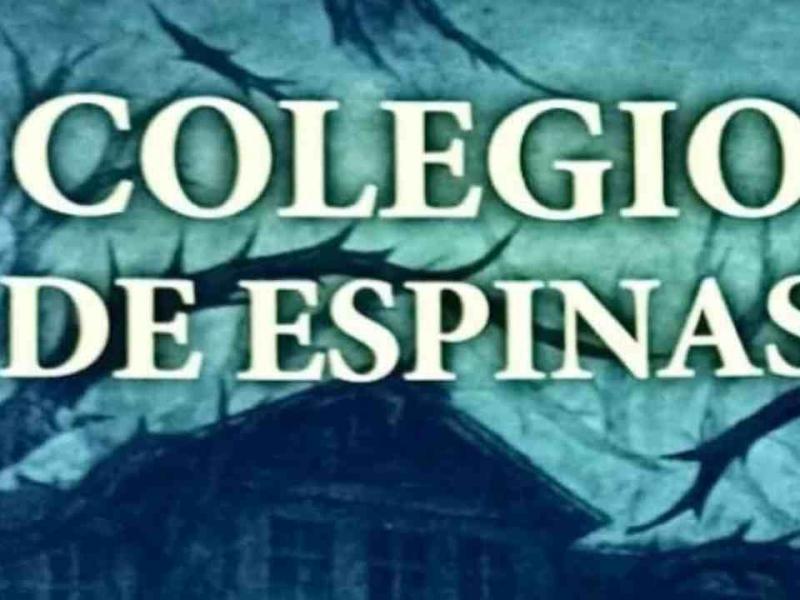 Con apenas 14 años, una adolescente de La Plata escribió un libro sobre el bullying que sufrió: “Colegio de Espinas”