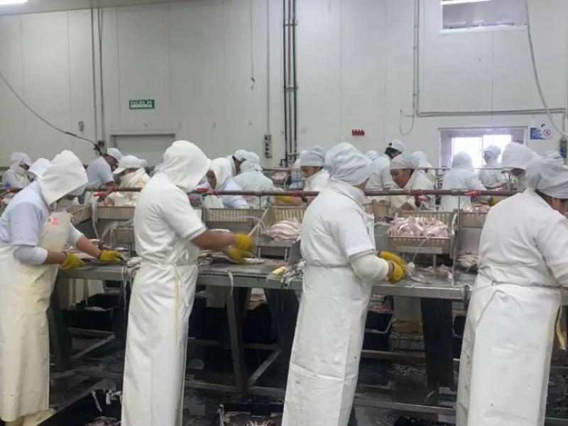 Conarpesa endurece su postura: faltó a la conciliación y confirmó que mantendrá los 39 despidos